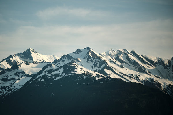 All Products