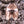 Wolf Fur Trapper Hat