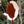 Wolf Half Fur Trapper Hat