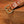 The Hunter Belt