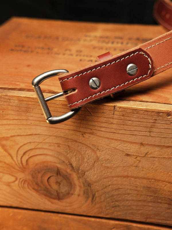 The Ridgeline Belt